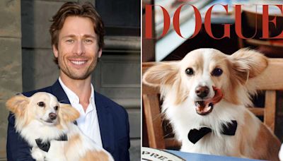 Glen Powell Reveals How 'Desperate' He Was to Adopt His Pup Brisket in Dog's “Vogue” Cover Story