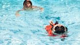 The lido on the Surrey border where you can take your dog swimming with you