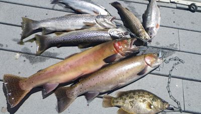 California Department of Fish and Wildlife (CDFW) Announces Conditions are Perfect for the Annual Trout Season Opener on Saturday, April 27, 2024