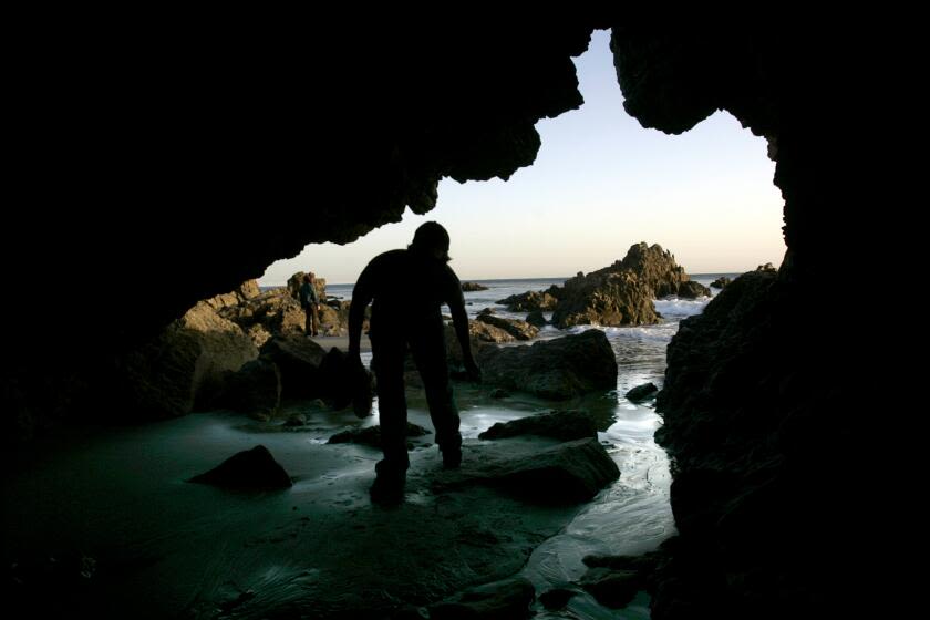 Libraries can still offer free passes to California parks, thanks to budget deal