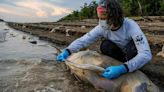 Mudanças climáticas já interferem em secas e cheias na Amazônia