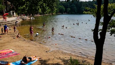 Officials say people are hacking through fences to access Walden Pond beachfront