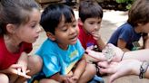 Zoo Atlanta to provide summer camp scholarships for more than 40 kids in need