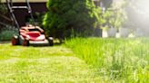 Gardeners 'banned' from mowing lawns or cutting grass until July date