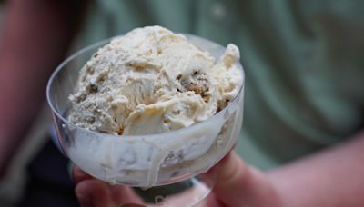 Cricket Crunch: MSU Dairy Store, Department of Entomology create new ice cream flavor - The State News