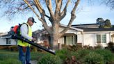 A Lawnmower, Leaf Blower Ban Coming In New York State