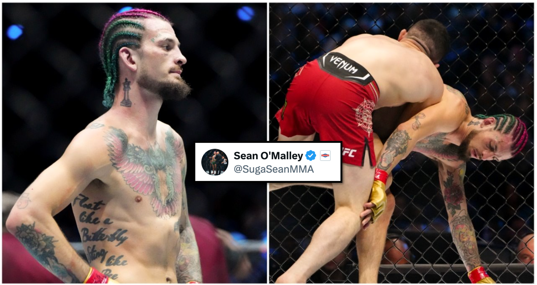 Sean O'Malley's eight-word tweet immediately after being mauled by Merab Dvalishvili goes viral