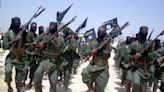 US Airstrike Kills Around 30 al-Shabaab Militants in Somalia, Military Says