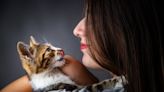 Why Does My Cat Lick My Hair? Vets Reveal the Weirdly Adorable Reason