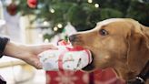 25 Best Gifts for Dogs and Dog Lovers