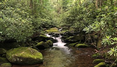 A Knoxville woman's idea 100 years ago gave birth to the Great Smoky Mountains National Park