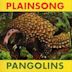 Pangolins