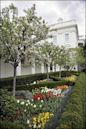 Jardín de rosas de la Casa Blanca