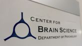 Harvard Center for Brain Science Receives Up to $1.7 Million Gift from NTT Research | News | The Harvard Crimson