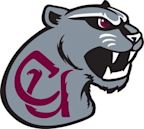 Concord Mountain Lions