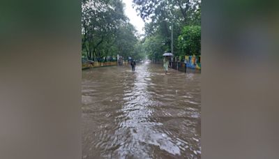 Navi Mumbai: Millennium Towers Suffer Severe Flooding As Sanpada Faces Aftermath Of Unregulated Construction