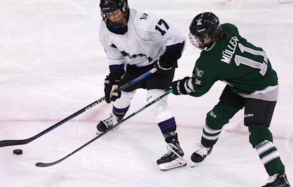 Where to watch PWHL finals: TV channel, live stream, time for Boston vs. Minnesota hockey Game 5 | Sporting News