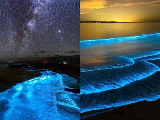 Captan hermosas olas bioluminiscentes en Baja California Sur