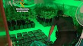 La Guardia Civil detiene a tres personas con casi 200 plantas de marihuana incautadas en una vivienda de Mos