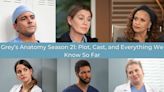 Grey's Anatomy Season 21: Cast and Character Guide