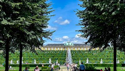 Germany’s Sanssouci Park seeks solutions as trees struggle with climate change