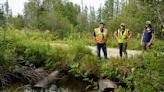 Restoration project aims to help protect Beavertail Creek, roadway