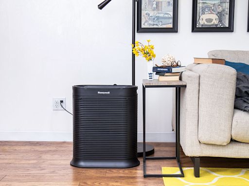 Best affordable air purifiers to deal with ‘unhealthy’ air