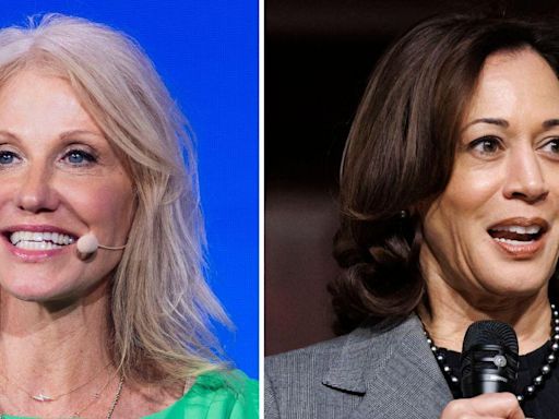 Kellyanne Conway Claims VP Kamala Harris Only 'Wants to Talk to Everybody from the Waist Down' on Campaign Trail