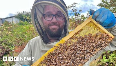 Beekeeper inspired by grandfather's long lost hives