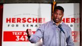 Train wreck Herschel Walker polling at 7% among Black Georgia voters, but he can still win | Opinion