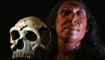 Neanderthals didn't truly go extinct, but were rather absorbed into the modern human population, DNA study suggests
