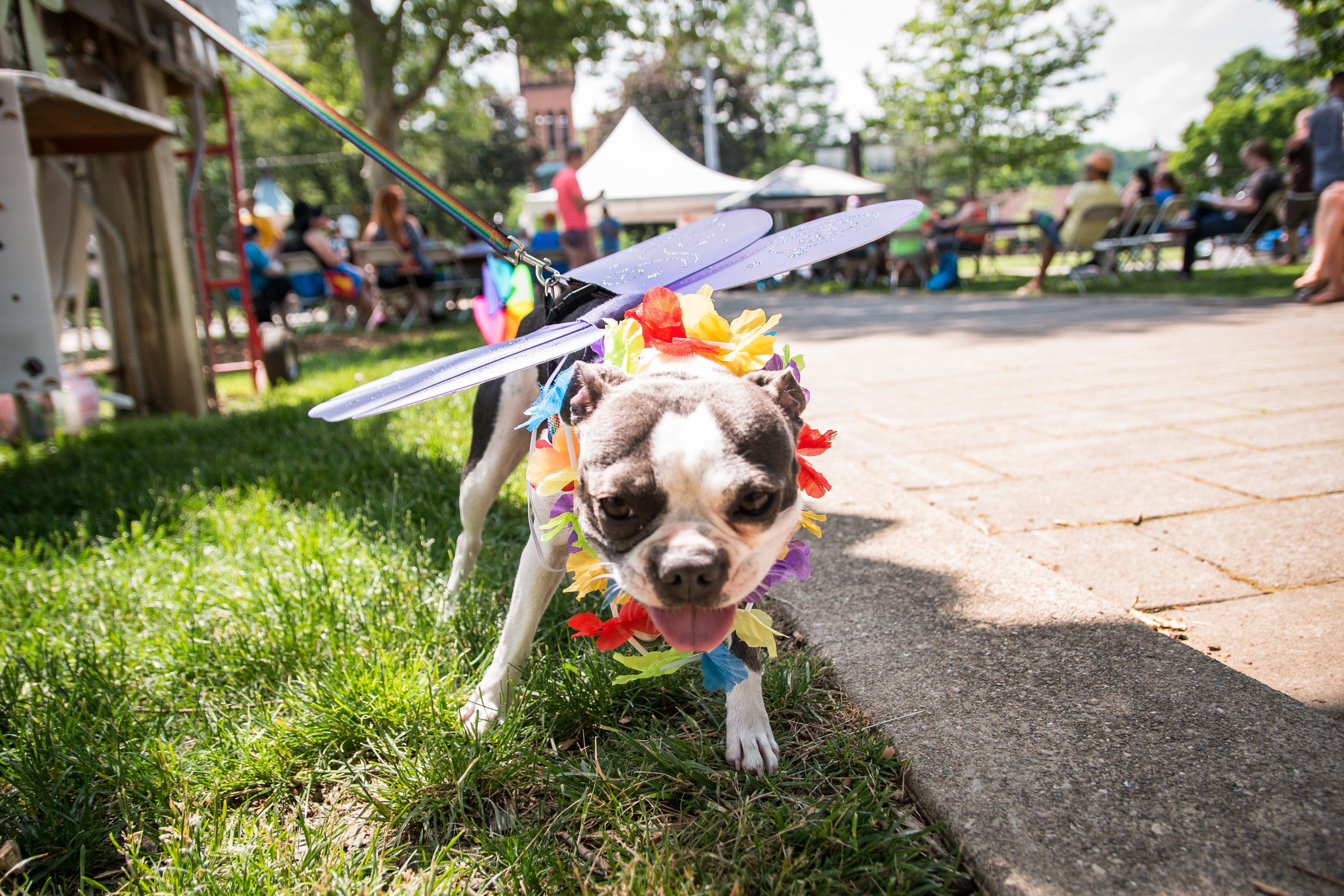 Rainbows, drag brunches and parades: 2024 Pride month events in Cincinnati