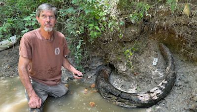 7-foot-long mammoth tusk found in Mississippi creek in rare discovery