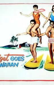 Gidget Goes Hawaiian