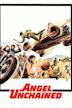 Hell's Angels '69