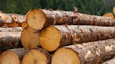 Acadian Timber Insider Ups Holding By 193% During Year