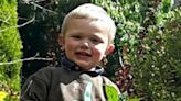 Daniel Twigg: Two people charged over three-year-old's death after dog attack