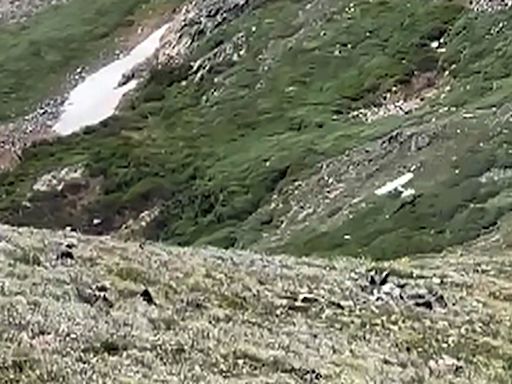 Video shows small plane almost crash into Colorado mountainside