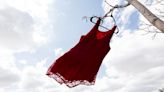Opposition MPs disappointed by federal budget's progress on red dress alert system