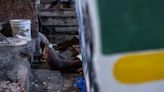 ONU advierte falta de fondos para alimentar a 5 millones en Haití