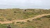 Mexican officers stand guard as rescue and forensics workers as well as prosecutors work at a waterhole where human remains were found near La Bocana Beach, Santo Tomas