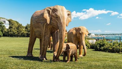 Traveling installation of 100 life-sized elephants will offer perspective on how much space the giants need, experts say