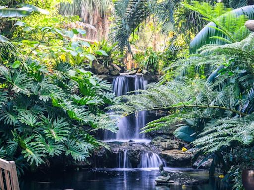 Marie Selby Botanical Gardens: World's Greatest Places 2024