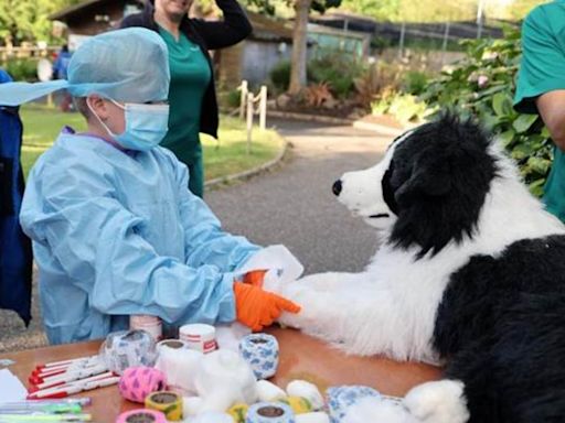 Families have a magical time during Dream Night at Newquay Zoo