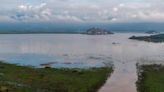 El plan para rescatar el lago de Pátzcuaro incluye cría de peces blancos y limpieza frecuente