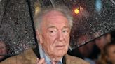 Daniel Radcliffe, J.K. Rowling and ‘Harry Potter’ Cast Mourn Michael Gambon: ‘Forever in Awe’