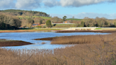 'Heaths to sea' scheme gets funding boost