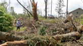 Neighborhood was known for its 100-year-old trees. Until a tornado wiped out hundreds.