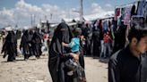 Isis bride and nine children return to US from Syria