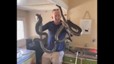 Microwave moves by itself, leading woman to find pythons mating in Australia kitchen